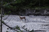 Dalla lunga camminata al Santuario di Caravaggio il 23 maggio al weekend in Alta Badia il 30 maggio-1 giugno - FOTOGALLERY